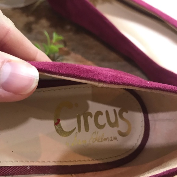 Circus by Sam Edelman Burgundy Suede Flat Shoes - Picture 4 of 6